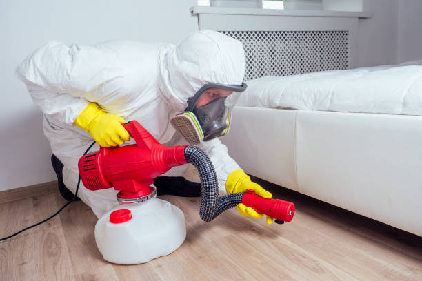 Pest Control Cost in Springfield, MO